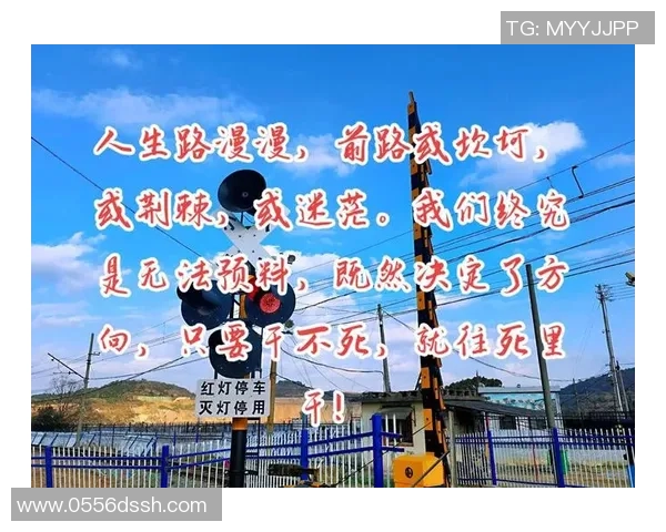 刘铮的奋斗历程与成就探析：从平凡到卓越的成长之路