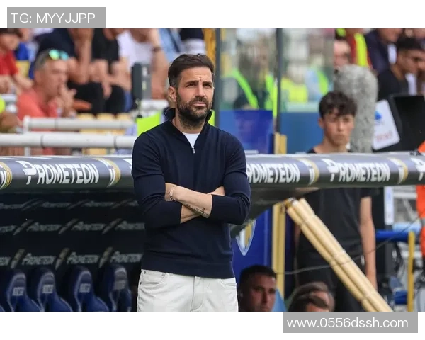 哈维阿隆索退役后新篇章将执教皇马青年队开启足球生涯新征程 哈维阿隆索退役后新篇章将执教皇马青年队开启足球生涯新征程