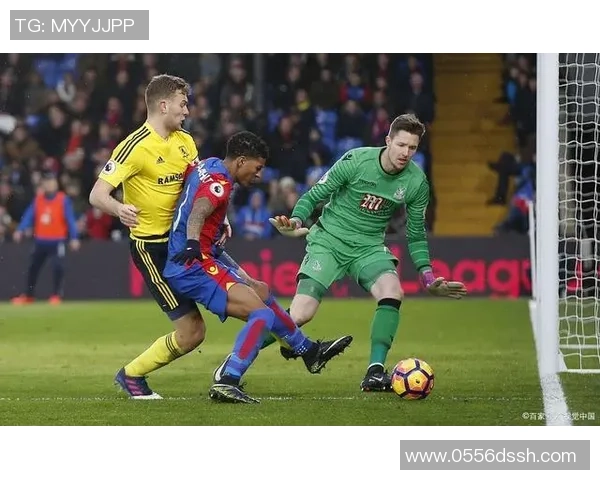 塞阿拉对阵帕尔梅足球赛前分析与战术预测全方位解读