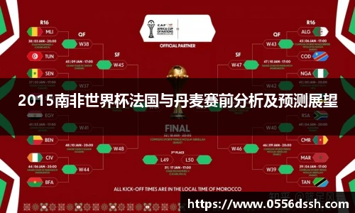 2015南非世界杯法国与丹麦赛前分析及预测展望